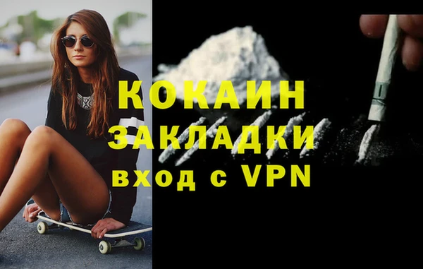 шишки Осинники