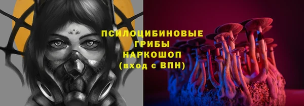 марки lsd Переславль-Залесский